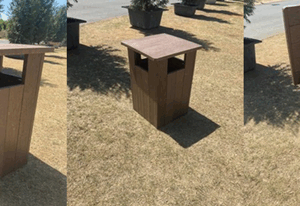 Eco Bin with Lid